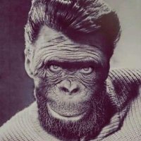 𝕾'𝖙 𝕮𝖔𝖔𝖑𝖎𝖔 💎 (@erhrights) 's Twitter Profile Photo 𝕾'𝖙 𝕮𝖔𝖔𝖑𝖎𝖔 💎 (@erhrights) 's Twitter Profile Photo