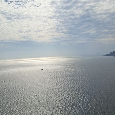 toiyeuvietnams's profile picture. 