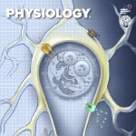 Physiology (APS Journal)(@physiol_journal) 's Twitter Profile Photo
