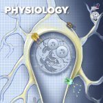 Physiology (APS Journal) (@physiol_journal) 's Twitter Profile Photo Physiology (APS Journal) (@physiol_journal) 's Twitter Profile Photo