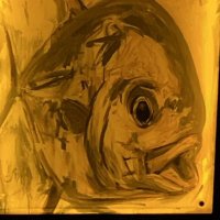 Stone (@okc_hg7) 's Twitter Profile