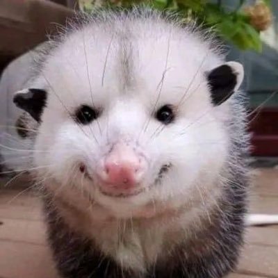 laura_sanchez02's profile picture. Esperando…