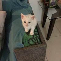Fátima (@ftima6930344619) 's Twitter Profile