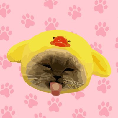 XiaojieTheCat's profile picture. Xiaojie Cat - The world's cutest cat 

he is smol
he is cute
meow :3

https://t.co/b2DAFyMFpd