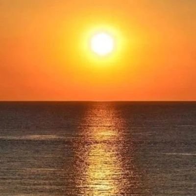 zhnwng161251548's profile picture. 