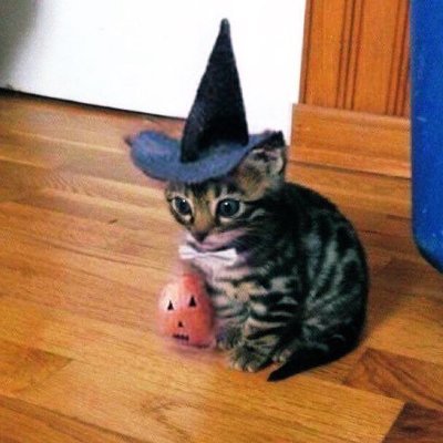 magic kitty 🔮 $abra

https://t.co/IAsEjwyXWL