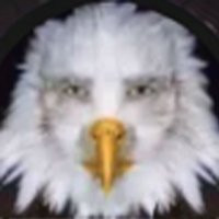 sebastiao promoções (@sebastiaopromos) 's Twitter Profile