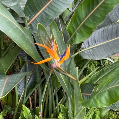 KrisMar78's profile picture. 