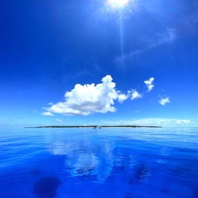 RY202457's profile picture. アウトドア　投資