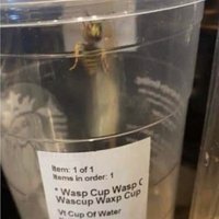 Wasp Cup Wasp C Wascup Waxp Cup (@_waspcup) 's Twitter Profile