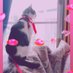 クロトビ (@7emsm) Twitter profile photo クロトビ (@7emsm) Twitter profile photo