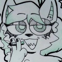 collie perfect ✨ (@collieperfect) 's Twitter Profile