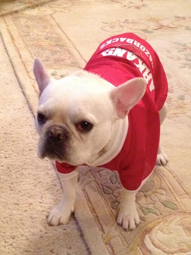 jsm1engr's profile picture. Hi-tech Redneck