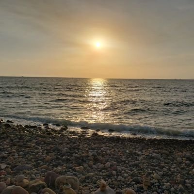 USAlpha1A2A3A4A's profile picture. #USA