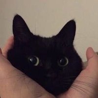노링 (@5ungchan1bin) 's Twitter Profile
