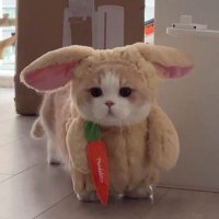 ◡̈ ปะติ๊ด 🍪 ೀ⋆。🖇️ (@inthemiddleoft9) 's Twitter Profile