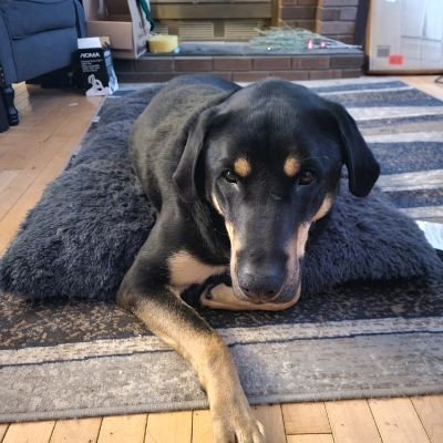 IamMe_200's profile picture. 