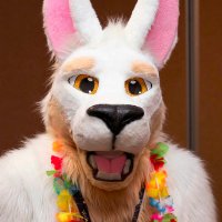 Lilia Roo (@hukaulaba@transfur.social) (@hukaulaba) 's Twitter Profile Photo