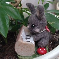 usa-KIKI-usa ♪Music♫🎼 (@usa_piano_vocal) 's Twitter Profile