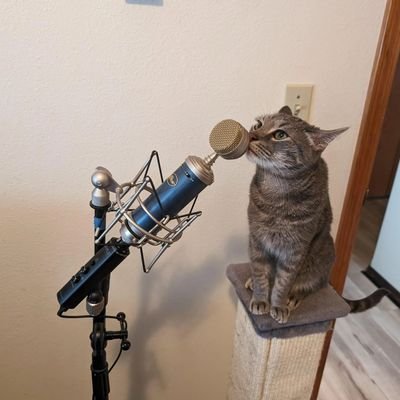 💽 Tu corazón es como un río abundante que se desborda tras una larga lluvia fria - El álbum