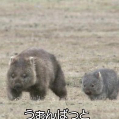 あさんのプロフィール画像