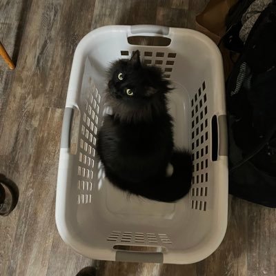 brian_of_tucson's profile picture. 