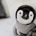 Eva Jacobs - @eva_jacobs - Twitter