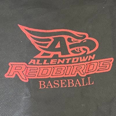 Allentown High School Baseball NJ