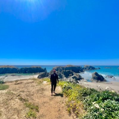 Francisco_alr's profile picture. Deja que el mundo sea como es y aprende a mecerte con las olas.