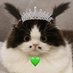 มัมหมีแจบอม•ยองแจ•มาโยคนเดียวของแก๊ง (@mmiinnttw) Twitter profile photo มัมหมีแจบอม•ยองแจ•มาโยคนเดียวของแก๊ง (@mmiinnttw) Twitter profile photo