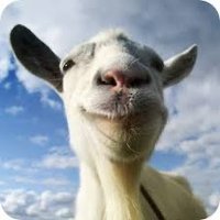 Capranaut (@magentamagnets) 's Twitter Profile