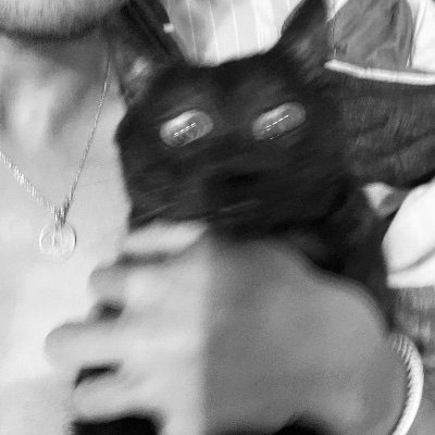 orabbit2's profile picture. 台北 170/60/31y 長髮男 
#把全世界的肉肉女都賜給我吧⋯⋯