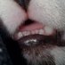 Wannah (@hbanana4242) Twitter profile photo Wannah (@hbanana4242) Twitter profile photo