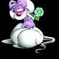 Lea_ Sakura. (@lea_sakura1) 's Twitter Profile Photo Lea_ Sakura. (@lea_sakura1) 's Twitter Profile Photo