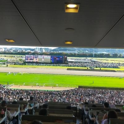 競馬好き。中央・地方を問わず予想。
馬複、馬単、3連系は1点100円。
ワイド1点200円、単勝1点500円購入。