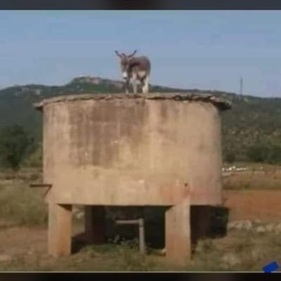 memsman09's profile picture. I laugh at everything and anything especially me. let’s have fun.