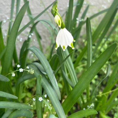 panna87c's profile picture. まじめにふまじめ