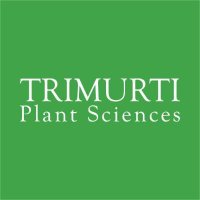 TriMurti Seeds(@TrimurtiSeeds) 's Twitter Profile Photo