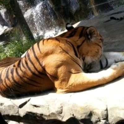 PBageni's profile picture. 
