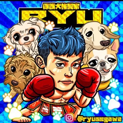 瀬川 琉 🐶保護犬格闘家🥊さんのプロフィール画像