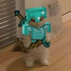 BarLie_2010's profile picture. 