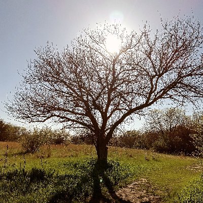 Carlos238227680's profile picture. 