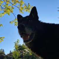 Sauavorti (@toffartur) 's Twitter Profile