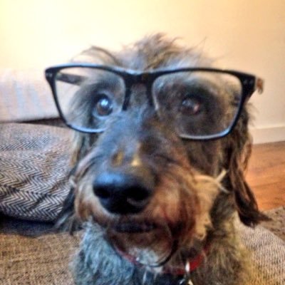 Founding General of the #SausageArmy
31.01.2005 - 14.10.2017