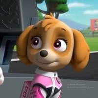 Skye (@cutepupskye) 's Twitter Profile