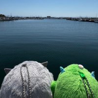 ゆんた@取引垢 (@yyyyyntt) 's Twitter Profile Photo ゆんた@取引垢 (@yyyyyntt) 's Twitter Profile Photo
