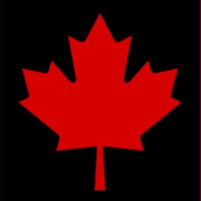 WoojinSeol's profile picture. 