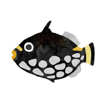 95.小魚付きフルタイムワーママ👦🏻目フル歯列矯正2回目(非抜歯) 一次全顔脂肪移植 鼻フル 進むカワハギ化。無言フォロー失礼します ※リプ通知来ませんdmください 情報交換メインです!年に2回渡韓