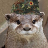 Obstlerleutnant | Der Ottillerie-Offizier 🦦(@Obstlerleutnant) 's Twitter Profile Photo