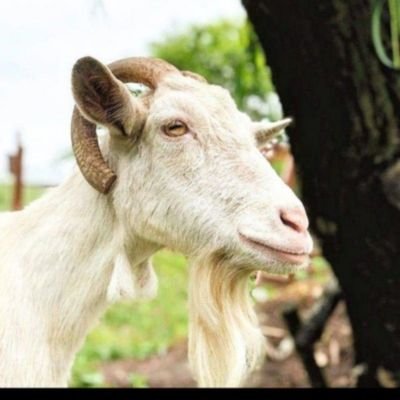 riku1204_'s profile picture. tosu→kyoto